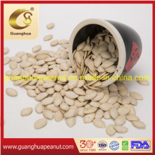 New Crop Good Quality Cheap Shine Skin Pumpkin Seeds